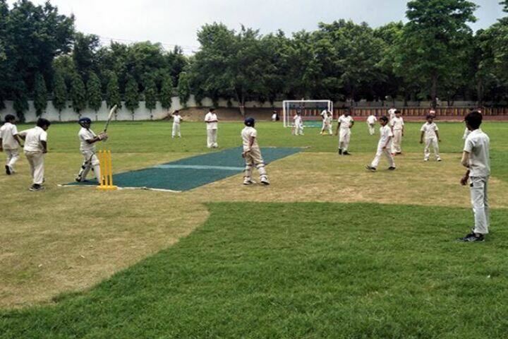Delhi Public School-Cricket
