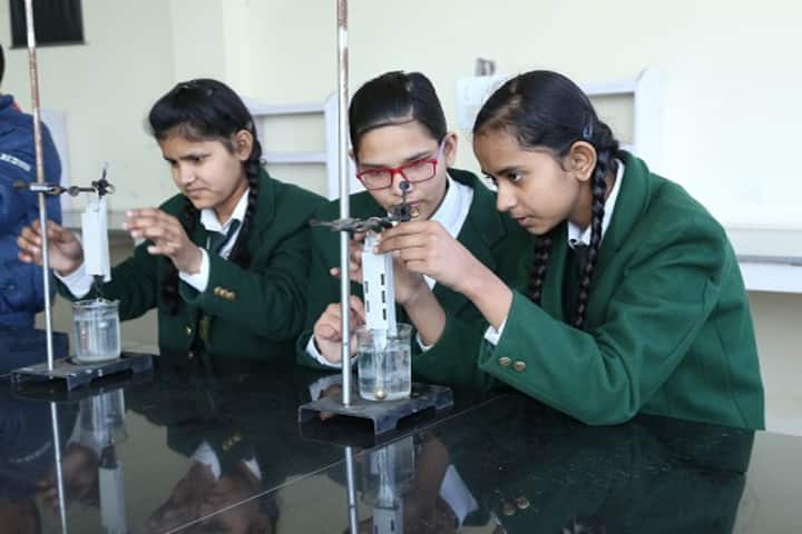Delhi Public School-Chemistry-Lab