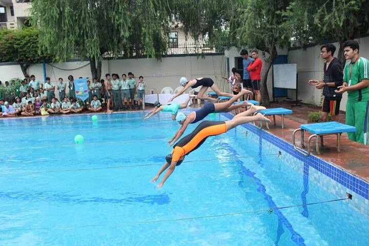 Dlf Public School-Swimming Pool