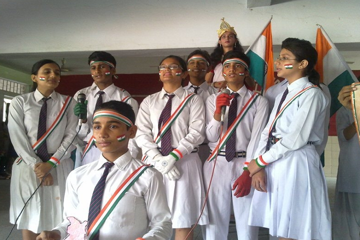 Dr Rizvi Learners Academy-Events independance day
