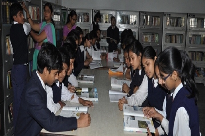 Dr Rizvi Learners Academy-Library with reading room