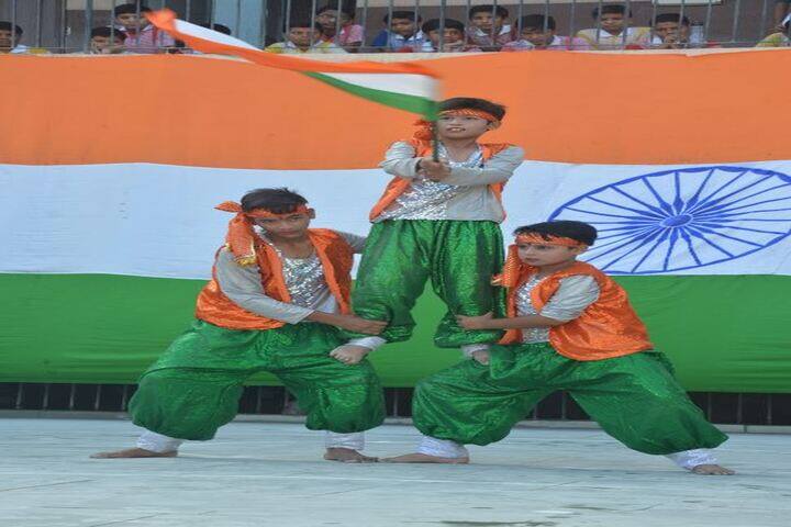 Dr Virendra Swarup Education Centre-Activity