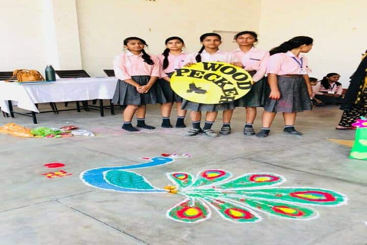 Faizabad Public School-Wook Pecker