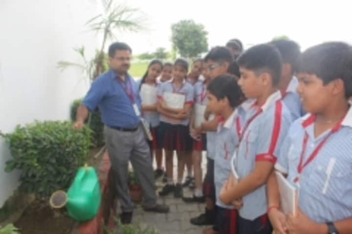 G D Goenka Public School-Interaction with nature