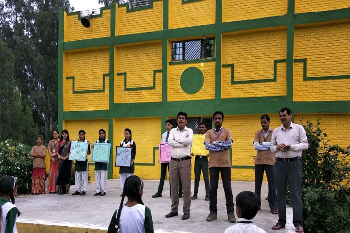 Green Light Public School-Extra Activity