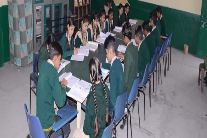 Green Valley Convent School-Library