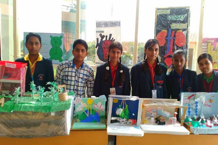 H L International School-Exhibition