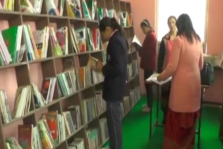 H.S. Public School-Library