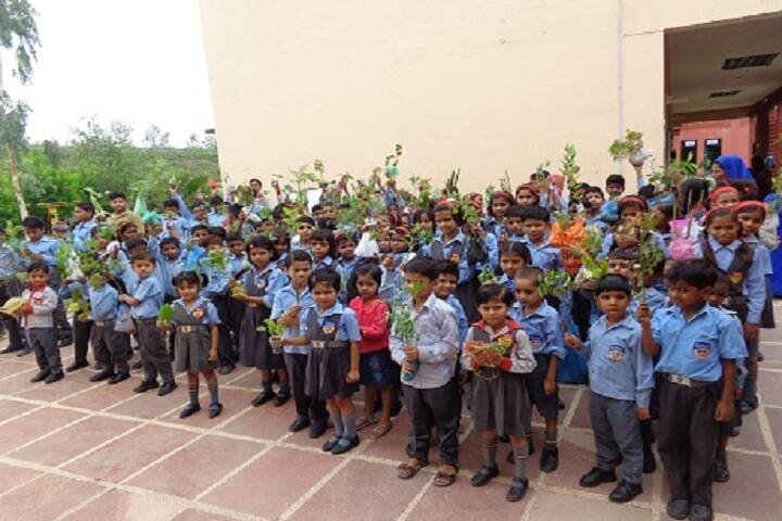 Hariti Public School-Others plantation