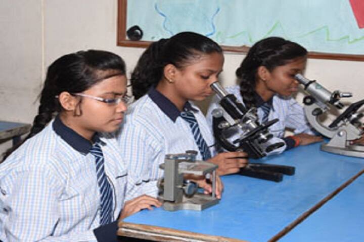 Herman Gmeiner School-Biology Lab