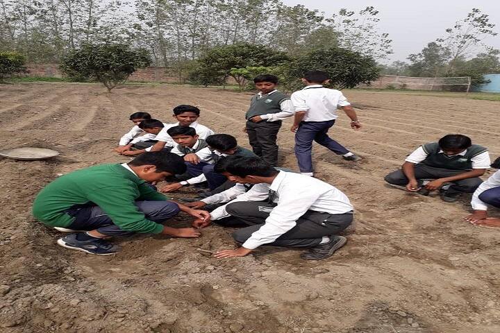 Highland Hall Convent School-Others plantation