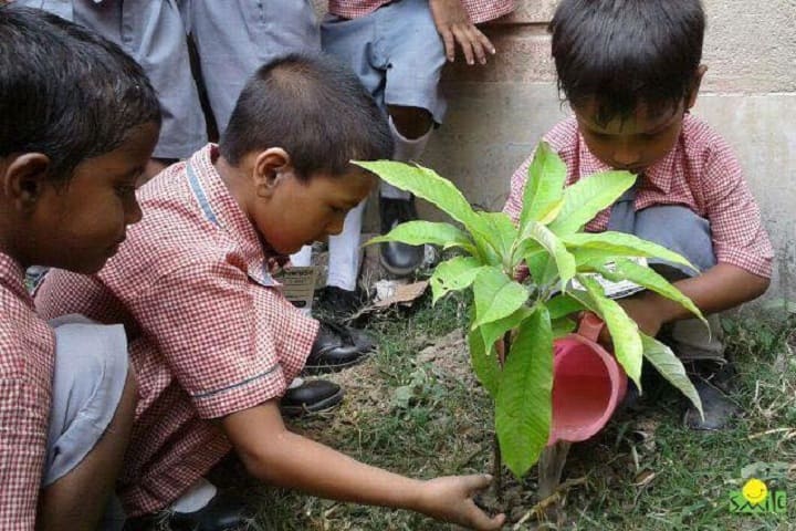 Hind Angles Public School-Others plantation