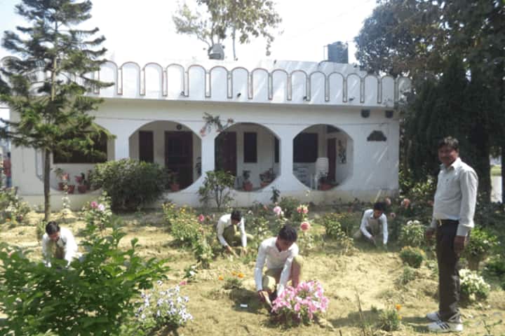 Hira Public School-Tree Plantation