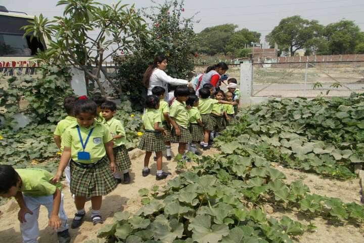 Hope Town International School-Tree-Plantation