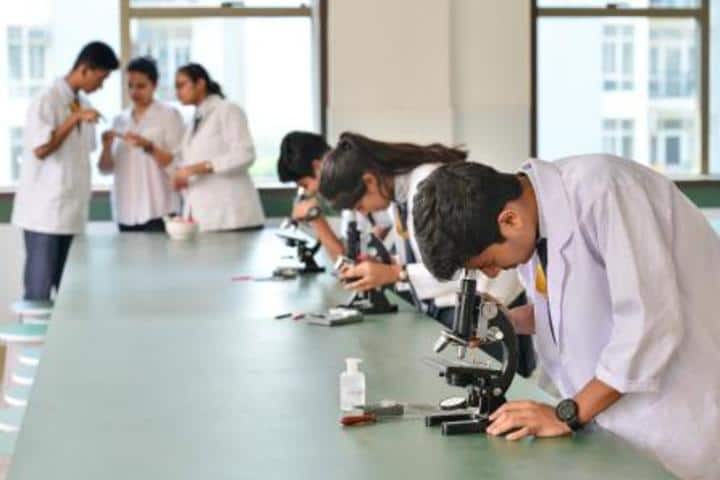 Indraprastha Global School-Lab1