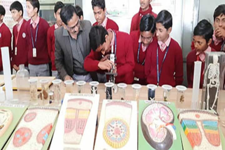St Michaels School Lalganj-lab