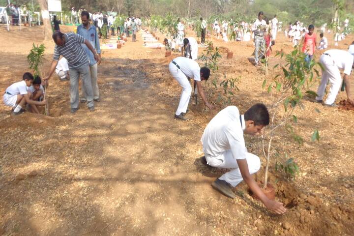 Delhi Public School - Plantation