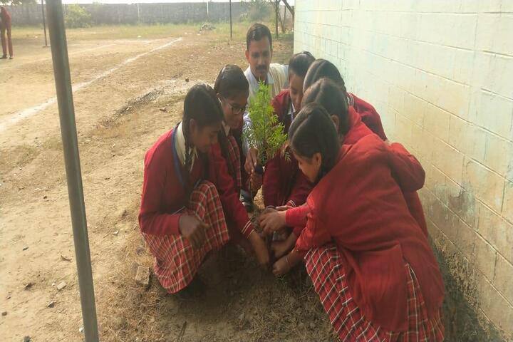 Jaideep Public School-Tree Plantation
