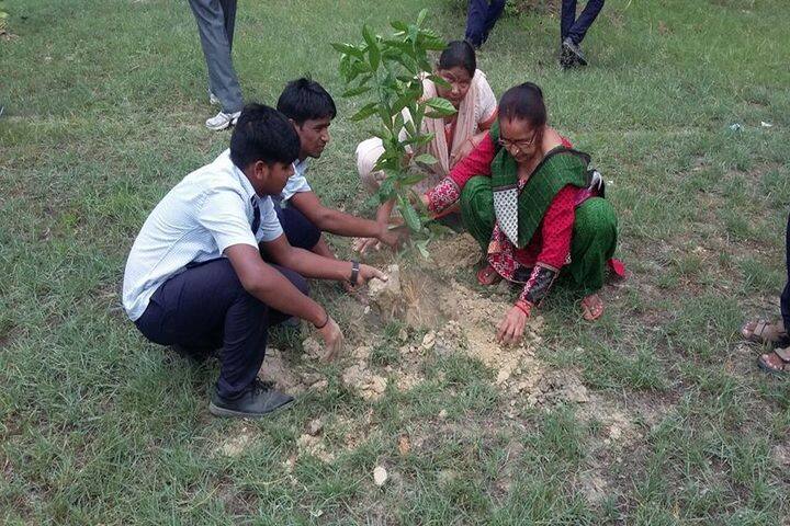 Jawahar Navodya Vidyalaya-Plantation