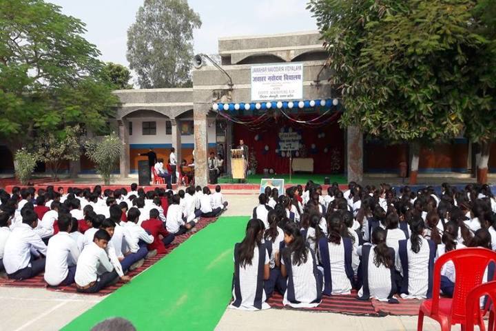 Jawahar Navodaya Vidyalaya-School View
