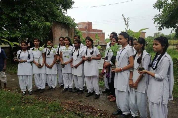 Jawahar Navodaya Vidyalaya - Plantation