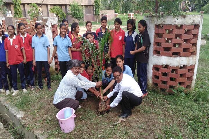 Jawahar Navodaya Vidyalaya-Green Crops