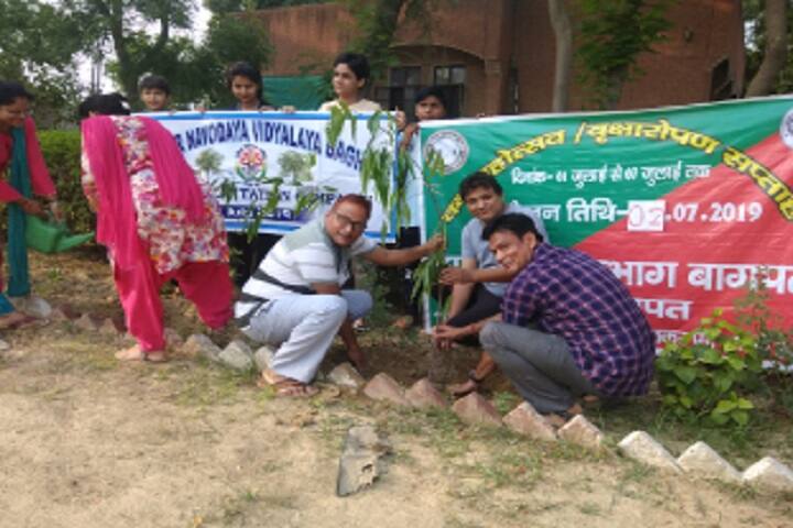 Jawahar Navodaya Vidyalaya-Plantation