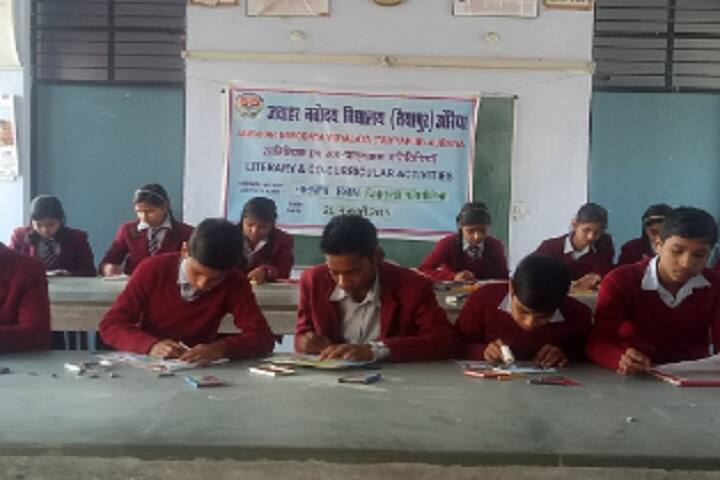 Jawahar Navodaya Vidyalaya-Art work