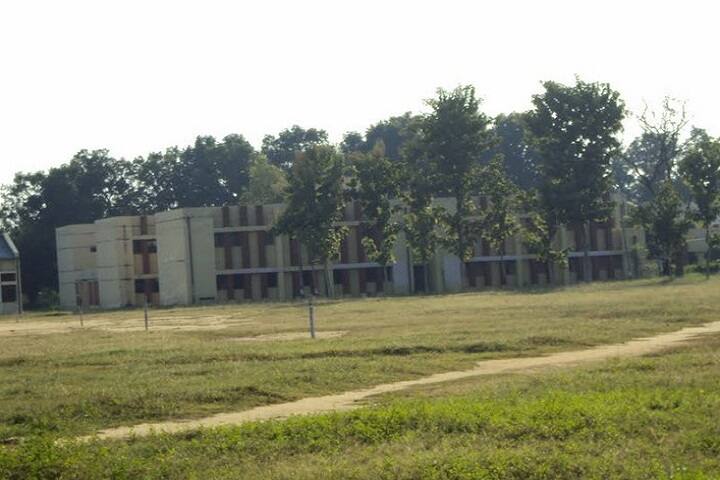 Jawahar Navodaya Vidyalaya-Others Greenary