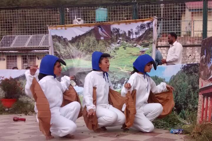 Jawahar Navodaya Vidyalaya-Activity1