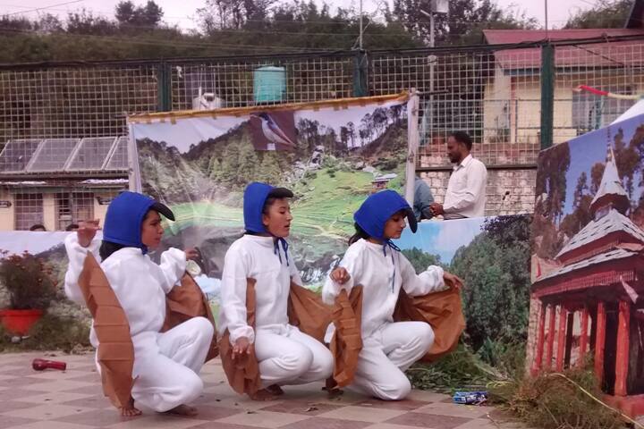 Jawahar Navodaya Vidyalaya-Events3