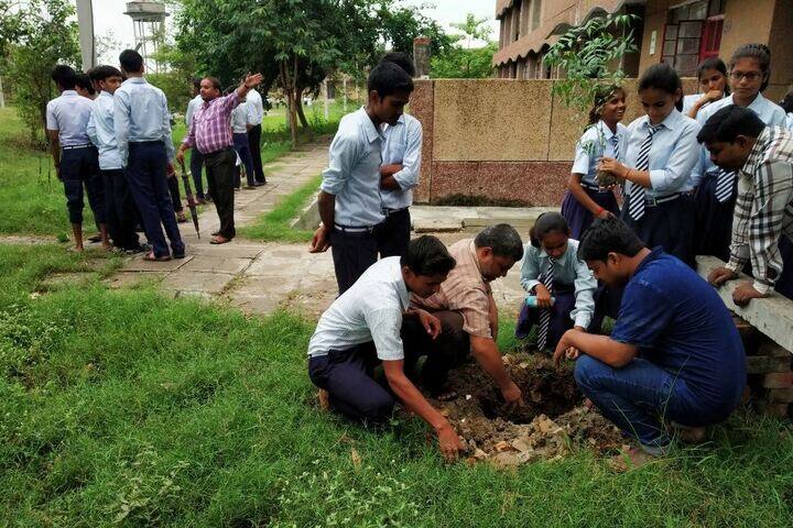 Jawahar Navodaya Vidyalaya-Plantation