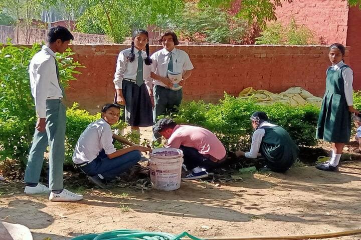 Jp-Sd International School-Tree Plantation
