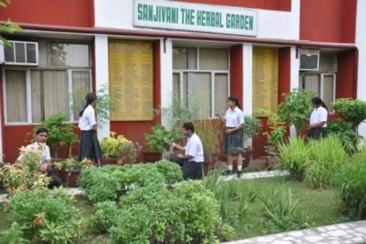 K D B Public School-Herbal Garden
