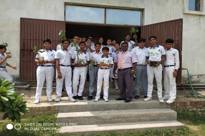 K D International School-Plantation Activity