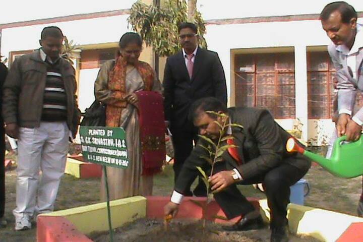 Kendriya Vidyalaya-Plantation