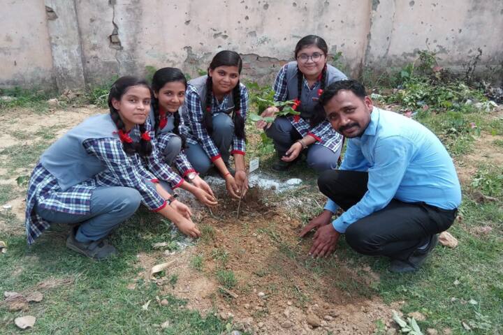 Kendriya Vidyalaya-Tree Plantation