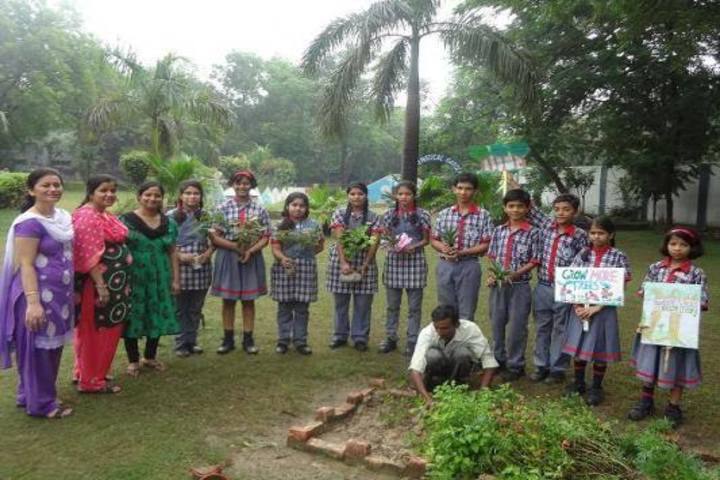 Kendriya Vidyalaya No 1-Tree Plantation