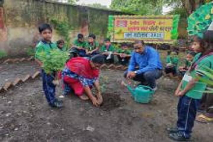 Kendriya Vidyalaya No 1-Plantation