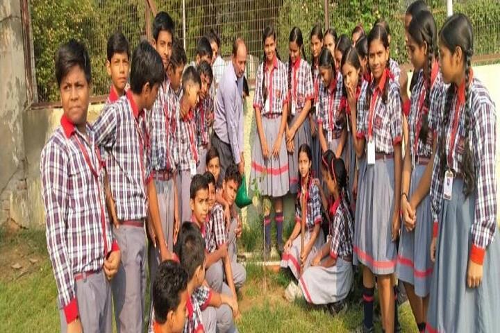 Kendriya Vidyalaya No 2-Plantation
