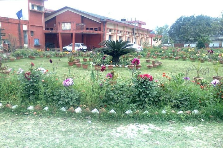 Kendriya Vidyalaya No 2-School Garden