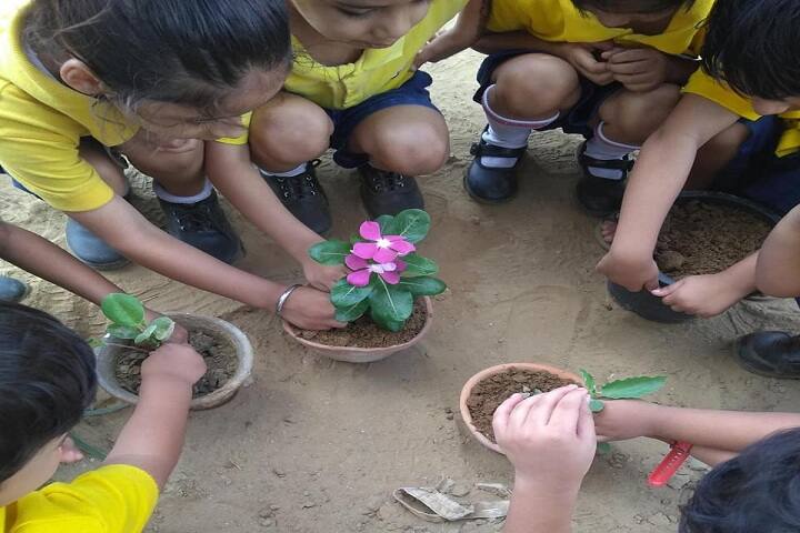 La Matina School-Tree Plantation