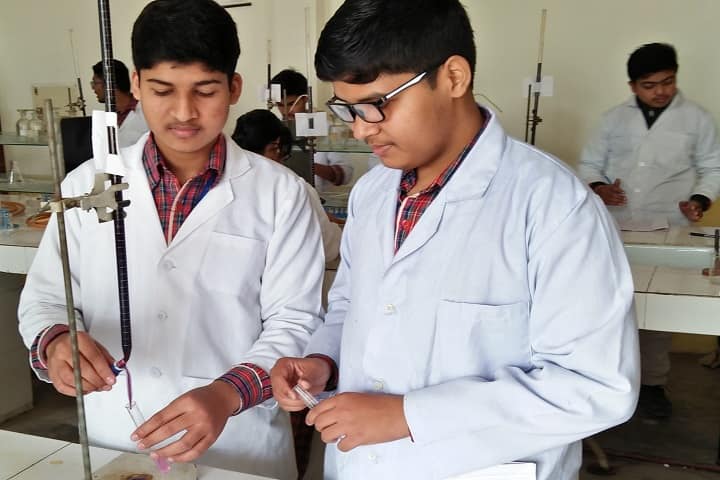 Lala Shambu Dayal Dav Public School-Chemistry Lab