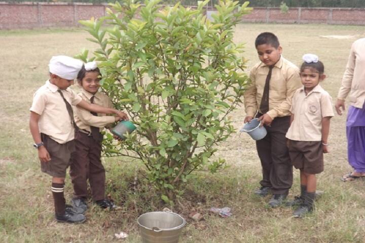 Lamba Convent School-Plantation