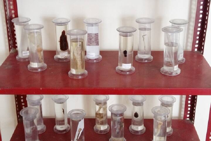 Ldc Public School-Biology Lab
