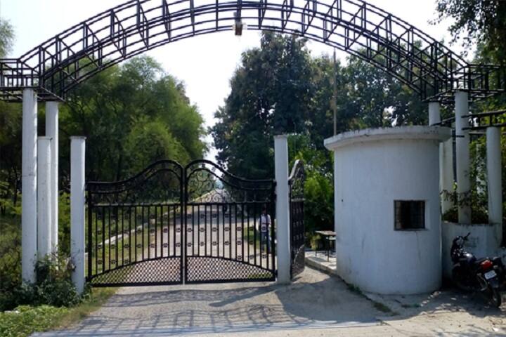 Ldc Public School-School Entrance