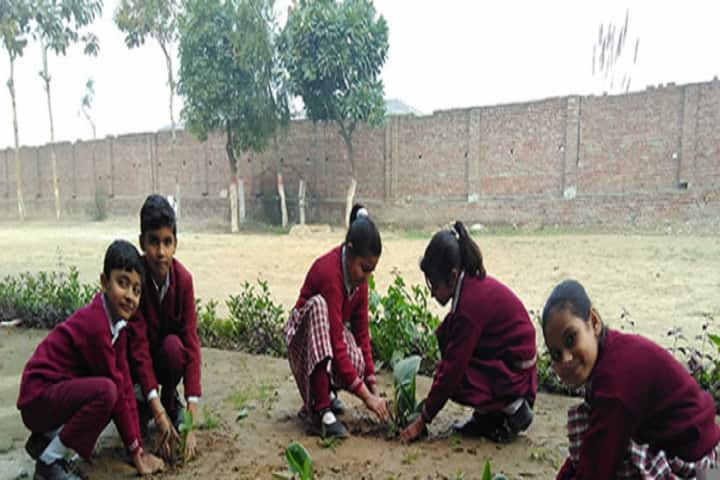 Leelawati Ramgopal Saraswati Vidya Mandir-Tree-Plantation