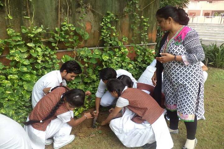 Lifeline Public School-Plantation