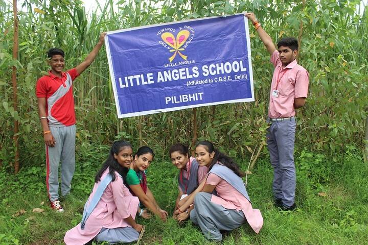 Little Angles School-Tree Plantation