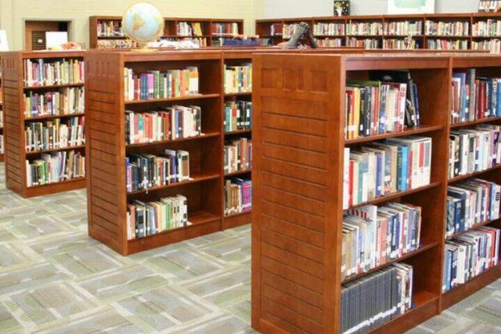 Loyal Public School-Library